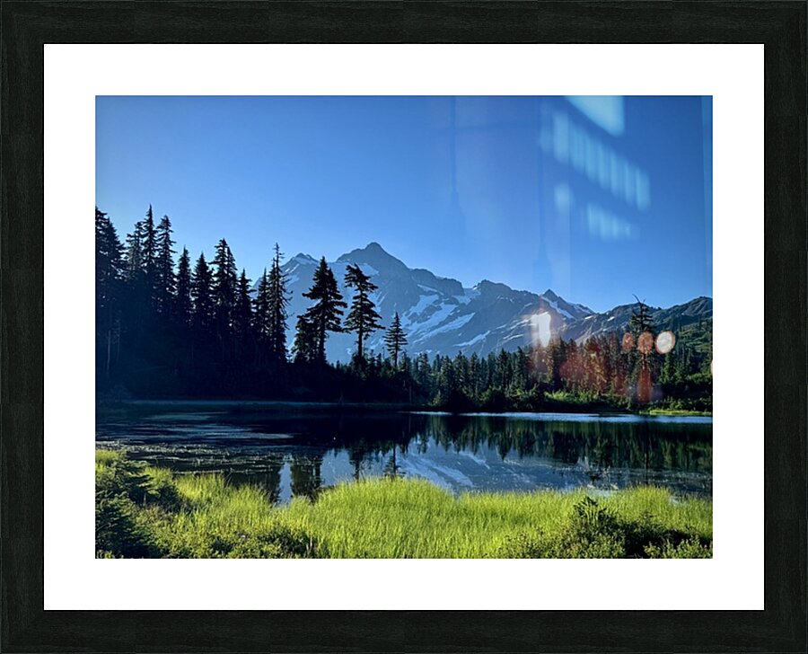 IMG 7445 Picture Frame print