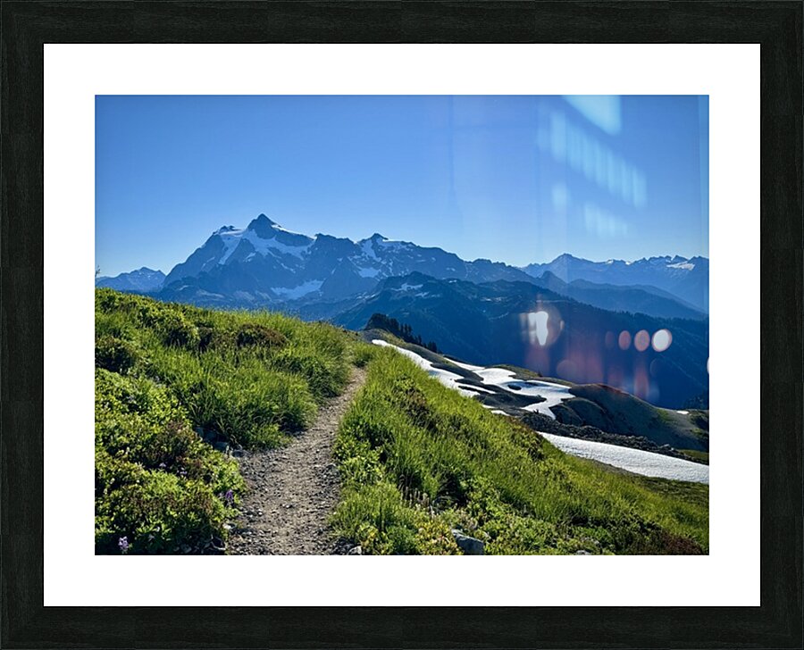 IMG 7577 Picture Frame print