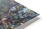 IMG 3491 HD Metal print