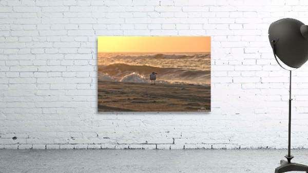 Ocracoke Warmth Wall Preview