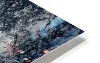 Birches are dancing HD Metal print