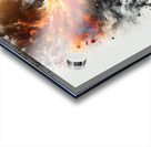 Eternal Rebirth Acrylic print