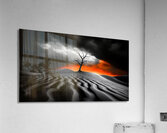 Solitary Gnarled Tree Desert Golden Hour Storm Clouds Bright Orange Sunset High Contrast Fine Art Texture Contrast Acrylic Print