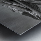 Eternal Echoes: Reflections of Heritage Metal print