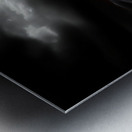 Solitary Gnarled Tree Desert Golden Hour Storm Clouds Bright Orange Sunset High Contrast Fine Art Texture Contrast Metal print