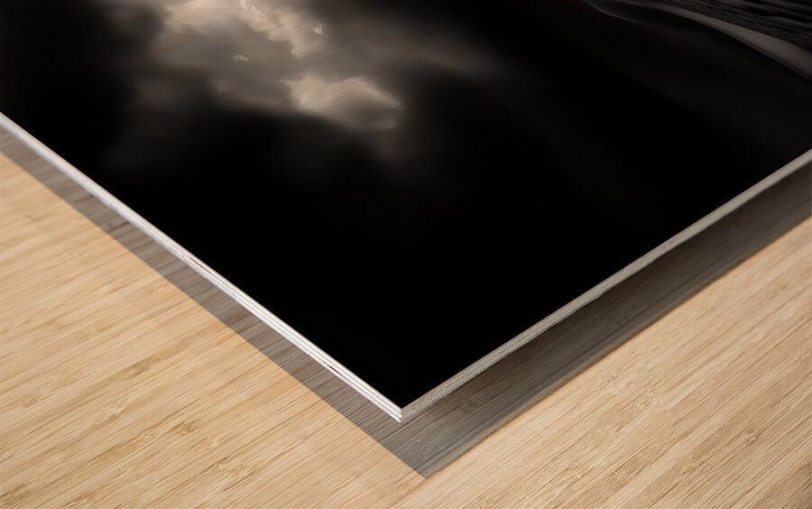 Solitary Gnarled Tree Desert Golden Hour Storm Clouds Bright Orange Sunset High Contrast Fine Art Texture Contrast Wood print