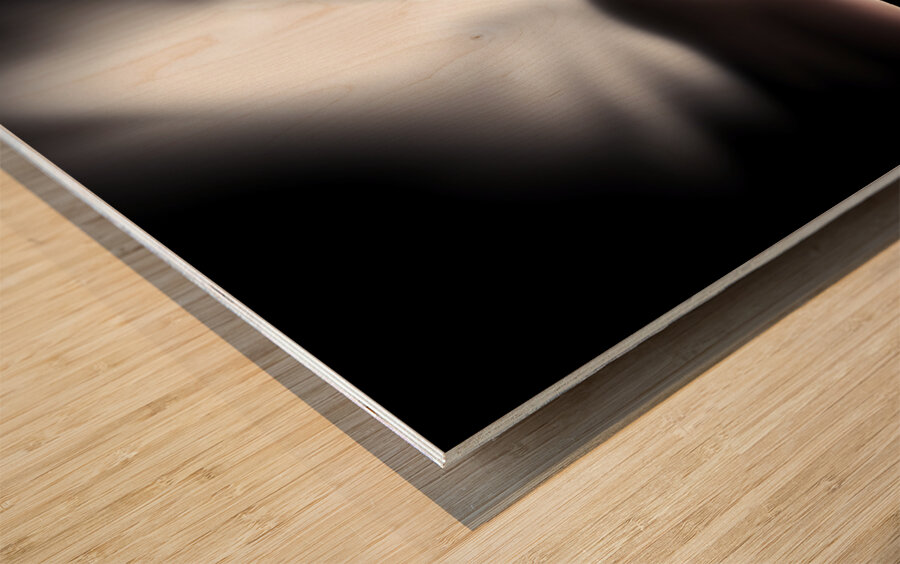 Fine Art High Contrast Photography Lighthouse Beacon Sweeping Dark Ocean Long Exposure Red Color Accent Telephoto Lens Wood print