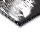 The Conversation  Acrylic print