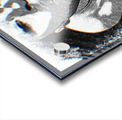 Vision Acrylic print