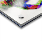 The Colour Of Her Soul Acrylic print