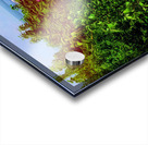 Hamilton  Acrylic print