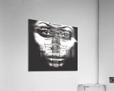 The Conversation  Acrylic Print