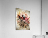 Into Me Acrylic Print