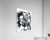 Vision Acrylic Print