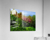 Hamilton  Acrylic Print