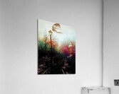 The Black Garden  Acrylic Print