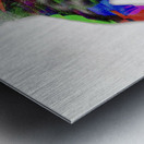 The Colour Of Her Soul Metal print