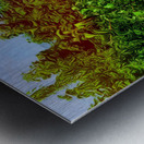 Hamilton  Metal print