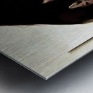 Expectations Metal print