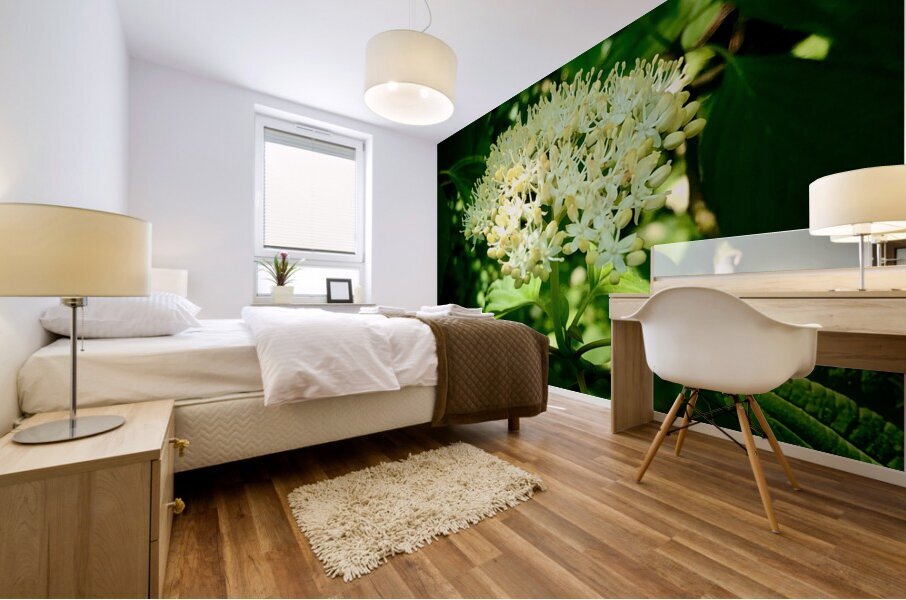 Photosyntesis Mural print