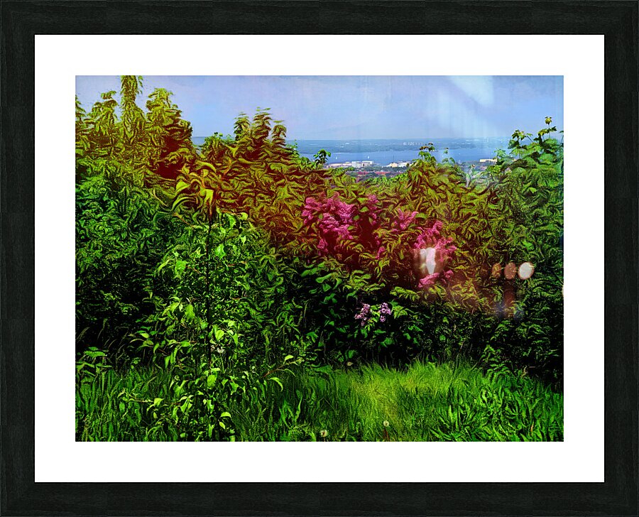 Hamilton  Picture Frame print