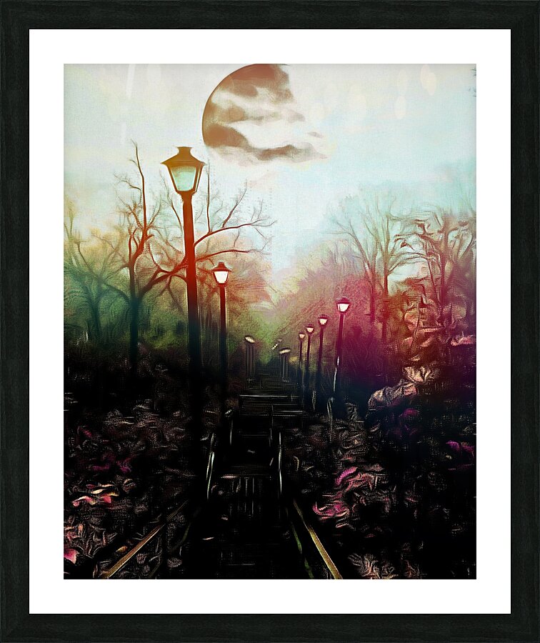 The Black Garden  Picture Frame print