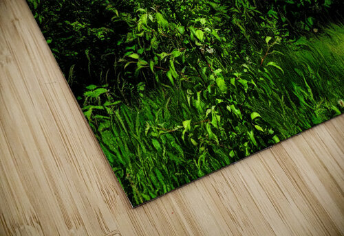 Hamilton  Creative Laroi puzzle