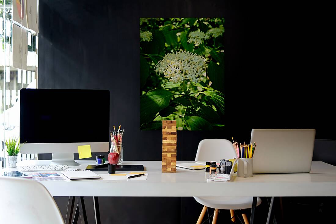 Photosyntesis Reproduction