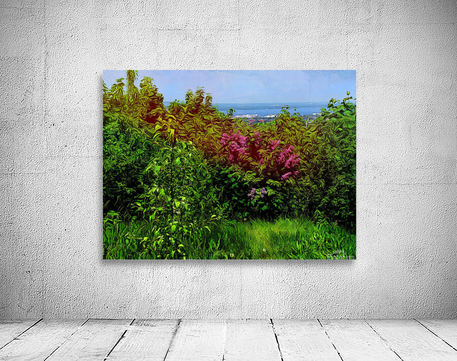 Hamilton  Wall Preview