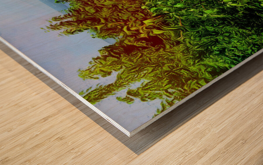 Hamilton  Wood print