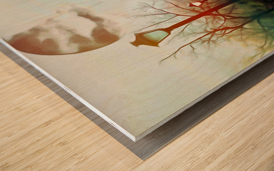 The Black Garden  Wood print