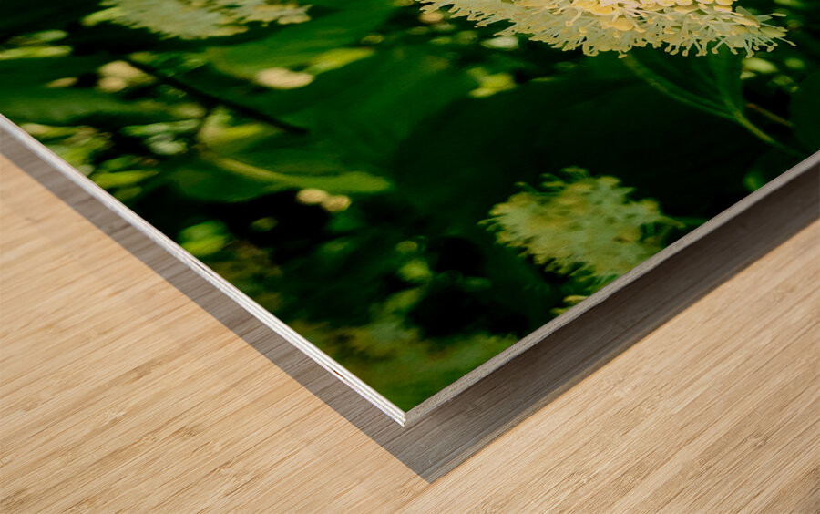 Photosyntesis Wood print