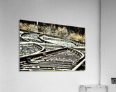 Indecision Acrylic Print