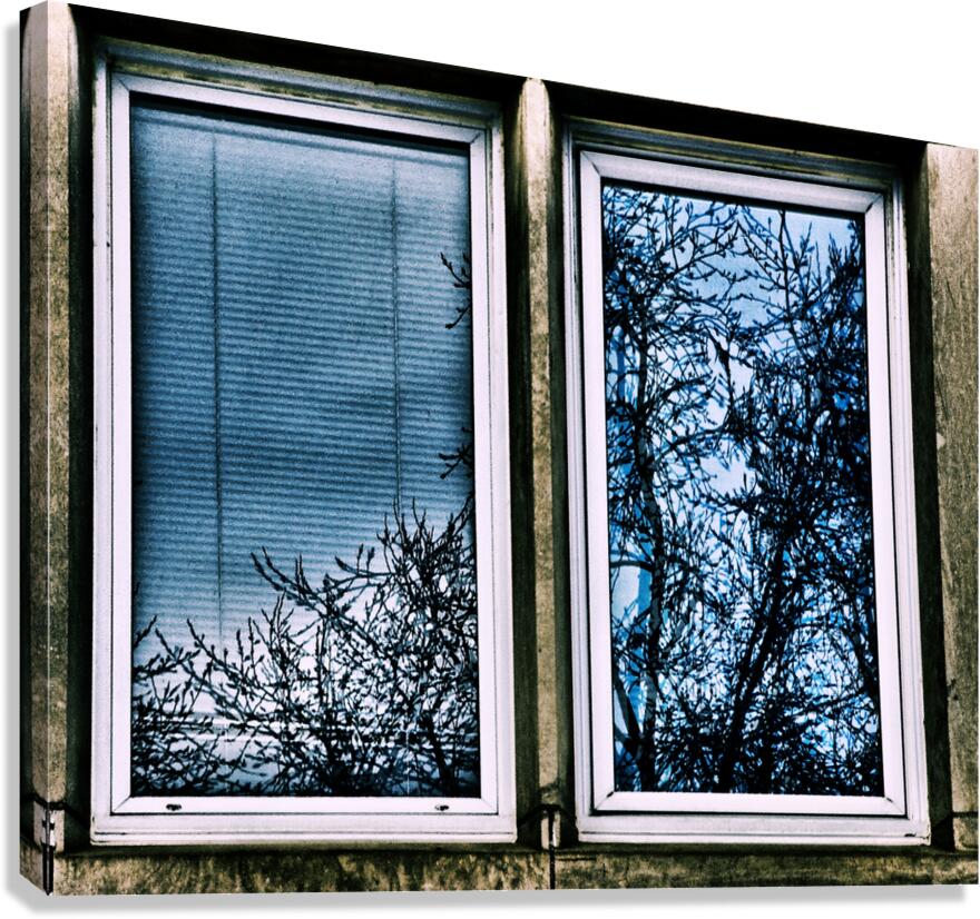 Parkdale Reflections 3 Canvas Print