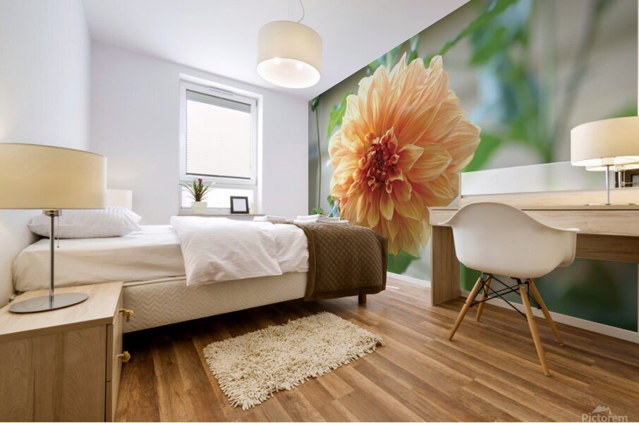 Centred II Mural print