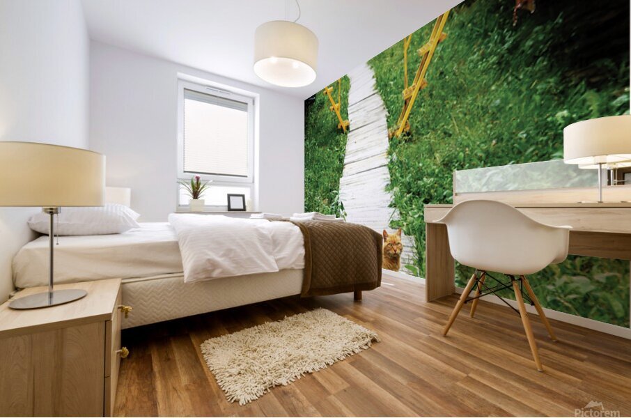 Board Cat Walk Mural print