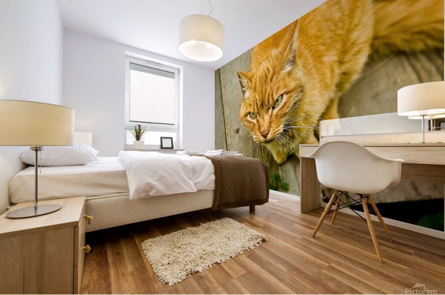 Green Cat Mural print