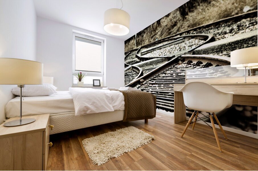 Indecision Mural print