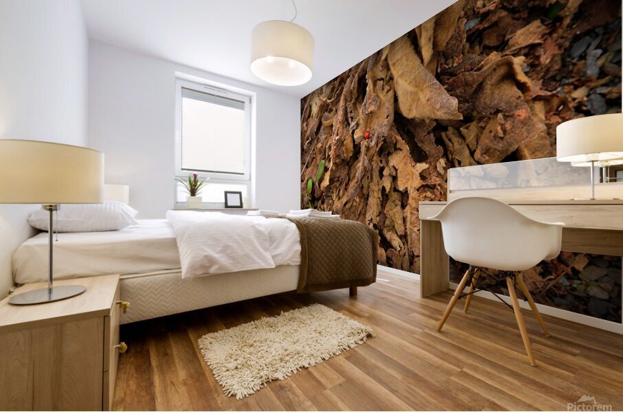 Lady Bug Forest Mural print
