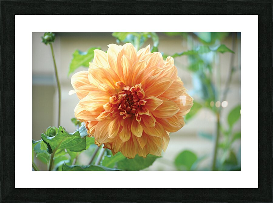 Centred II Picture Frame print