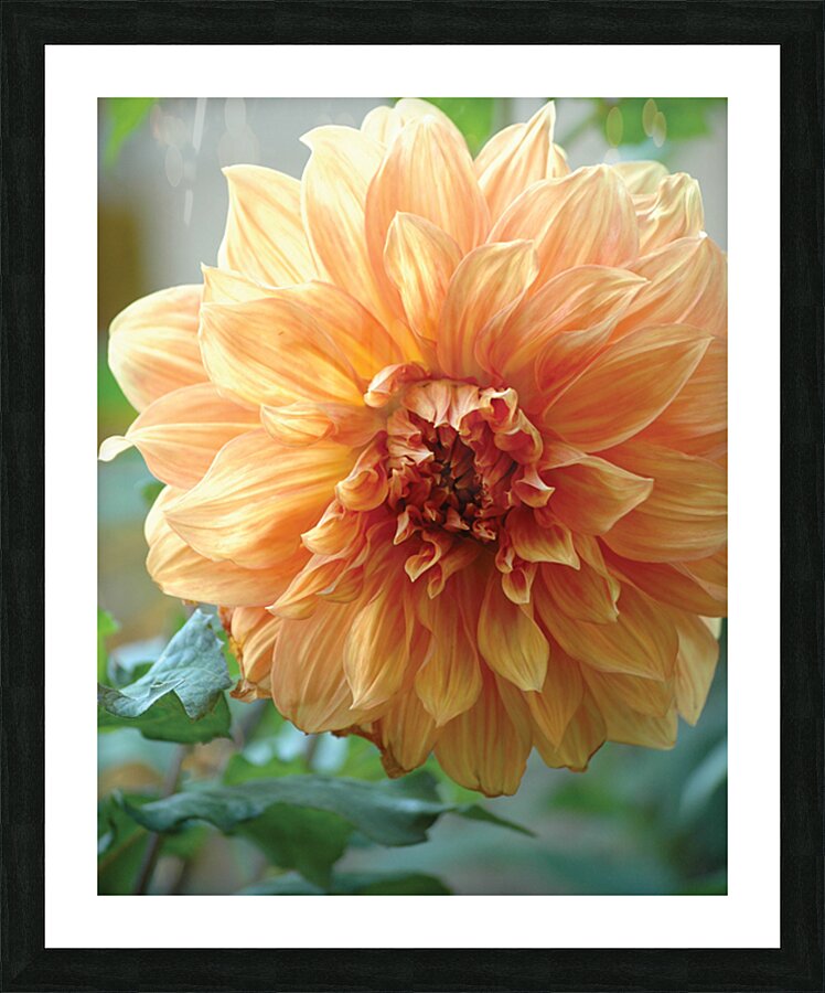 Centred Picture Frame print