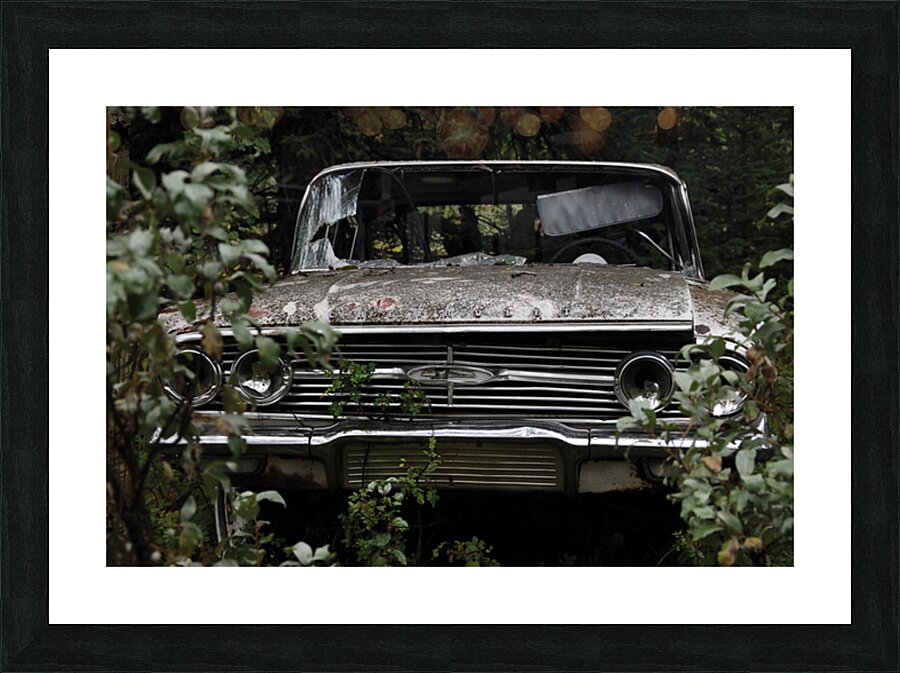 C Head On Picture Frame print