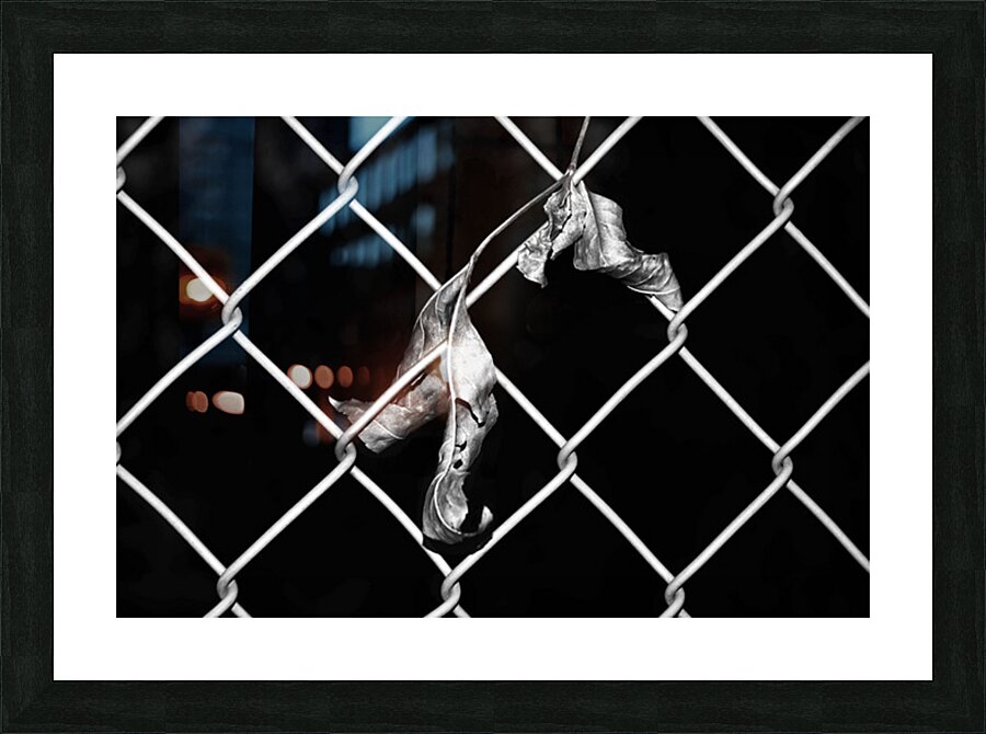 Fence1 Picture Frame print