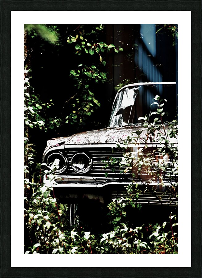 Cruising Speed Picture Frame print