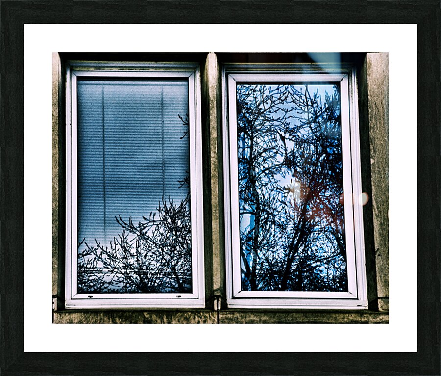 Parkdale Reflections 3 Picture Frame print