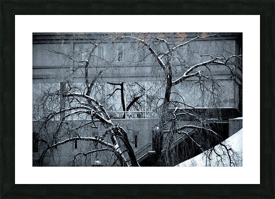Winter Gothic Picture Frame print