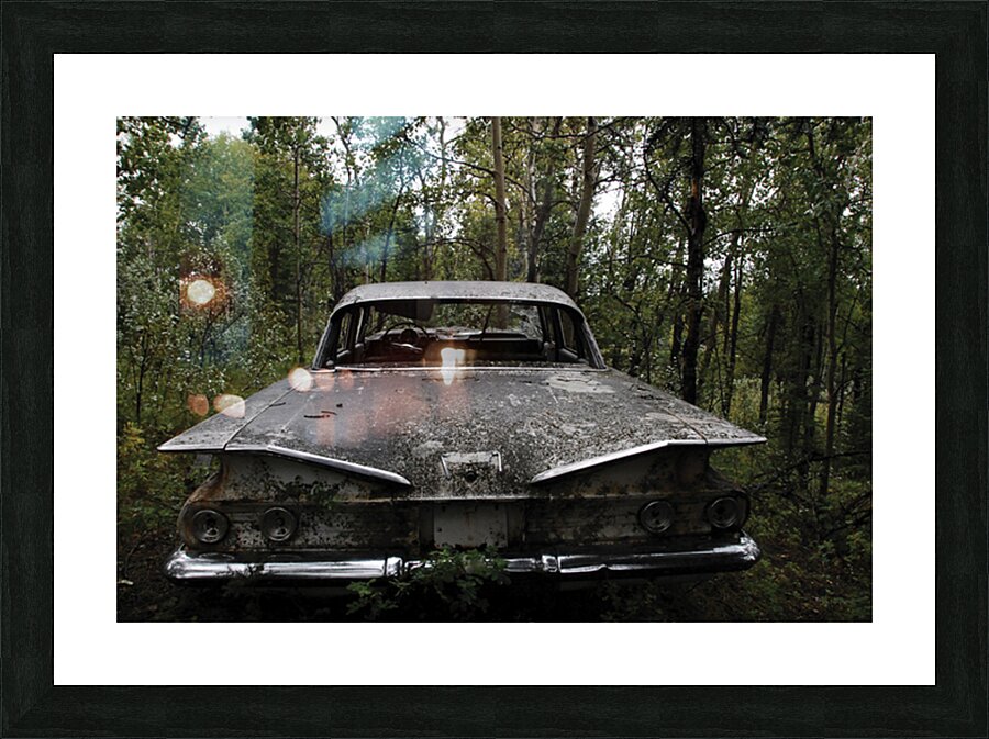 Tail Fins Picture Frame print