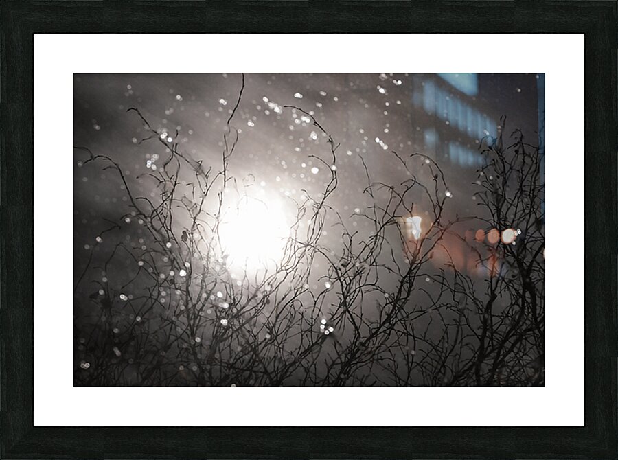 Night Branched Picture Frame print