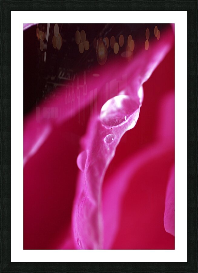Budding Picture Frame print