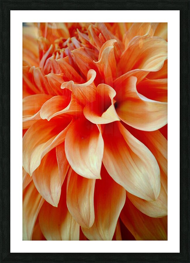 Vancouver Orange Picture Frame print